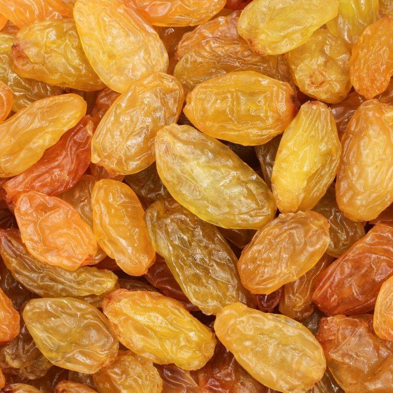 Fresh Bulk Jumbo Golden Raisins USA